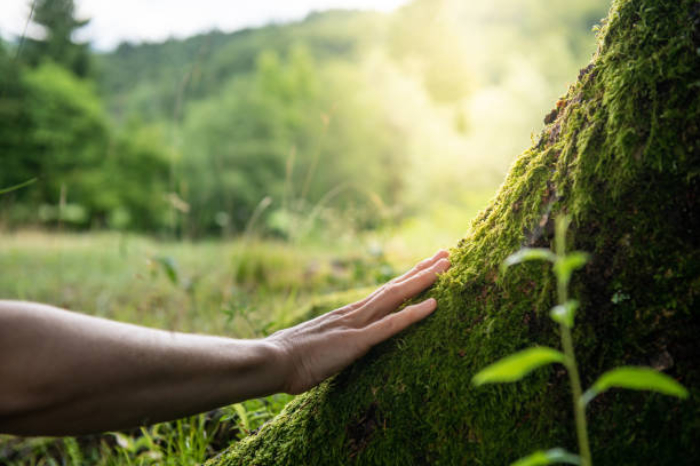 Licenciatura En Ecología Y Conservación Del Ambiente
