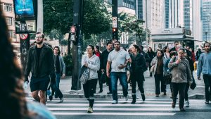 Licenciatura en Sociología